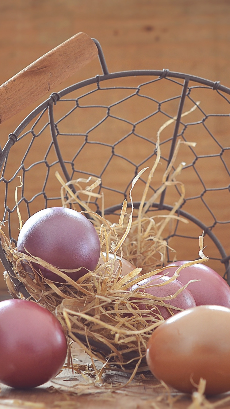Обои яйцо, птичье гнездо, пасхальное яйцо, корзина, пасхальная корзина в разрешении 750x1334