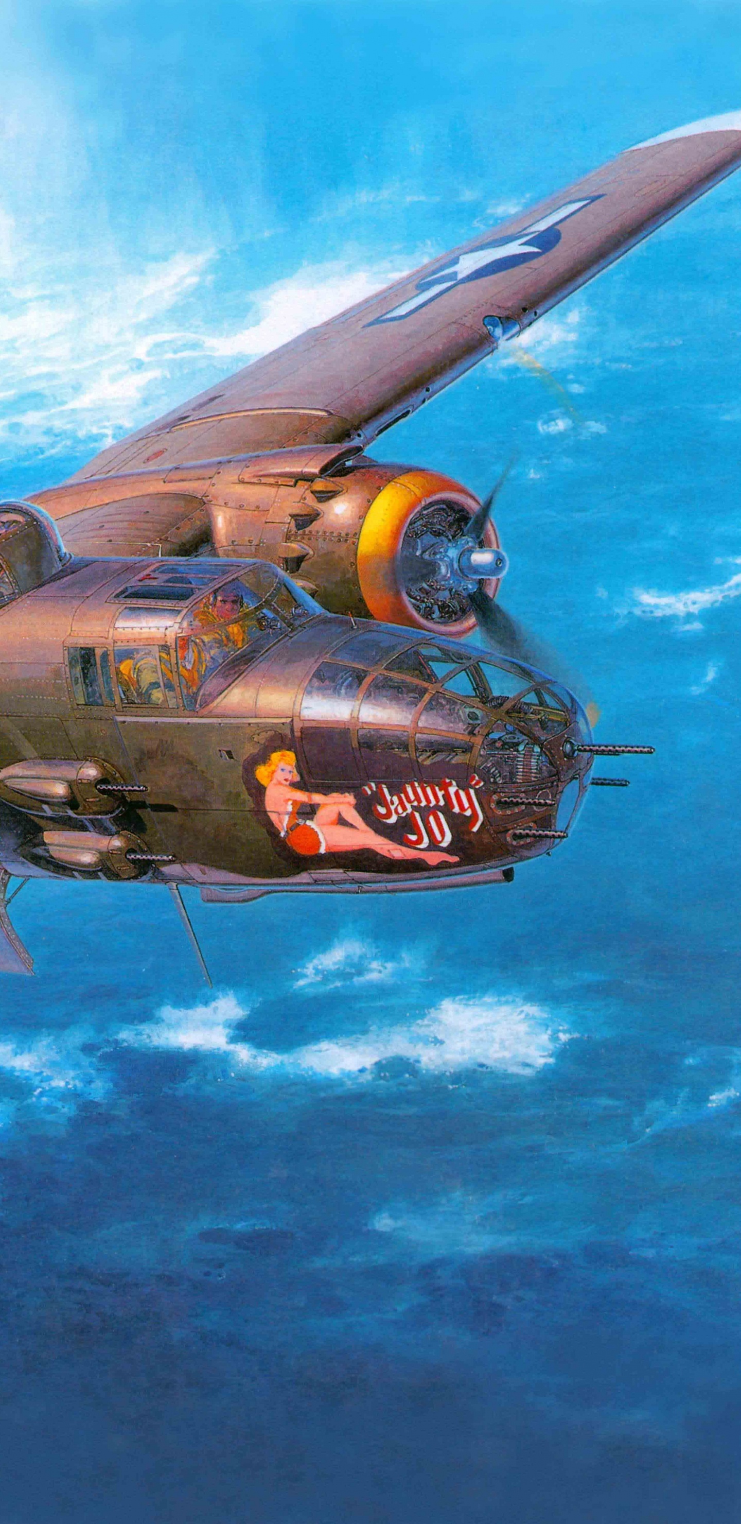 Обои Б-25J, корпорация хасегава, самолеты, самолет, пропеллер в разрешении 1440x2960