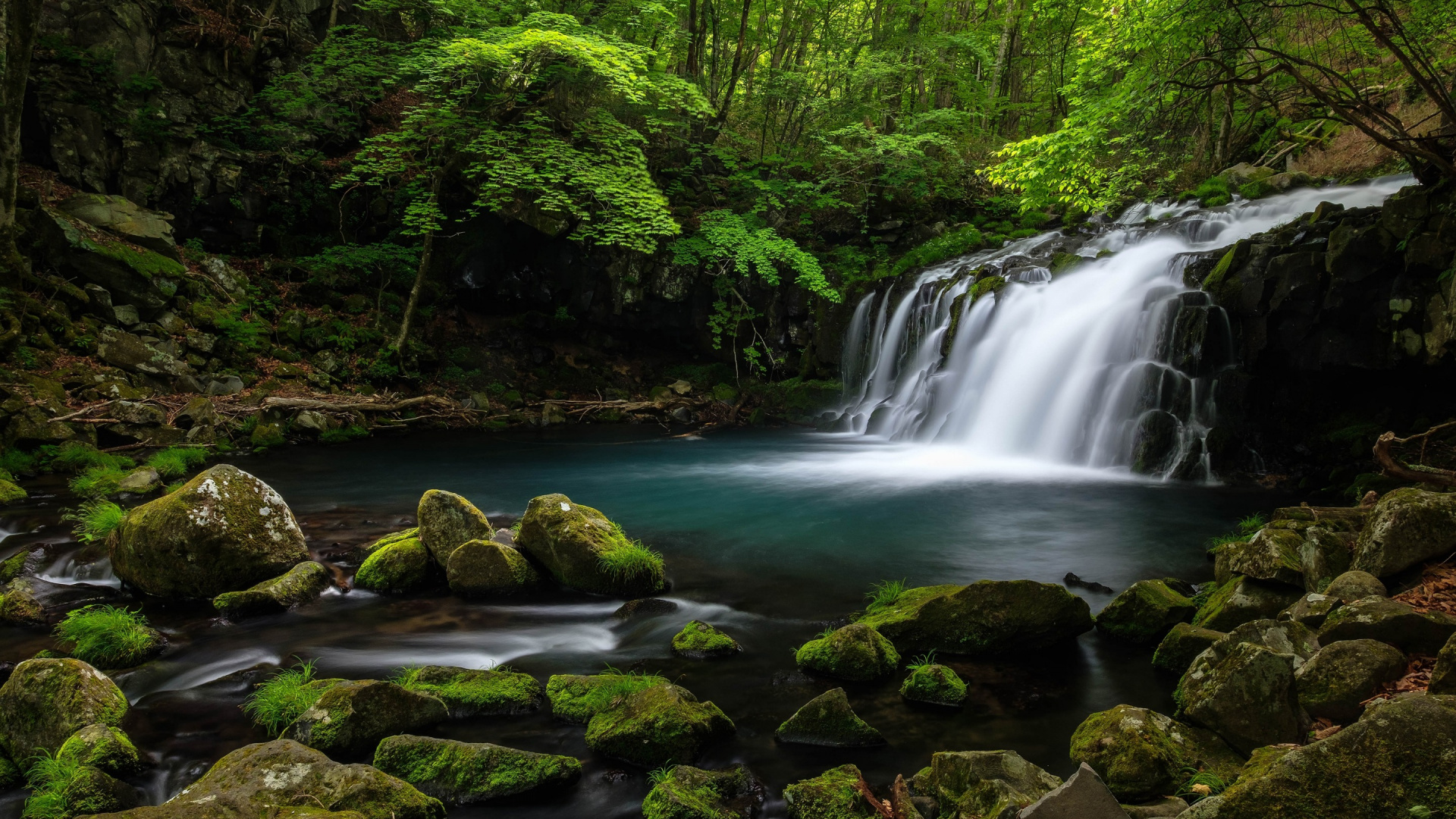 Обои водопад, лес, водоем, гидроресурсы, природа в разрешении 1920x1080