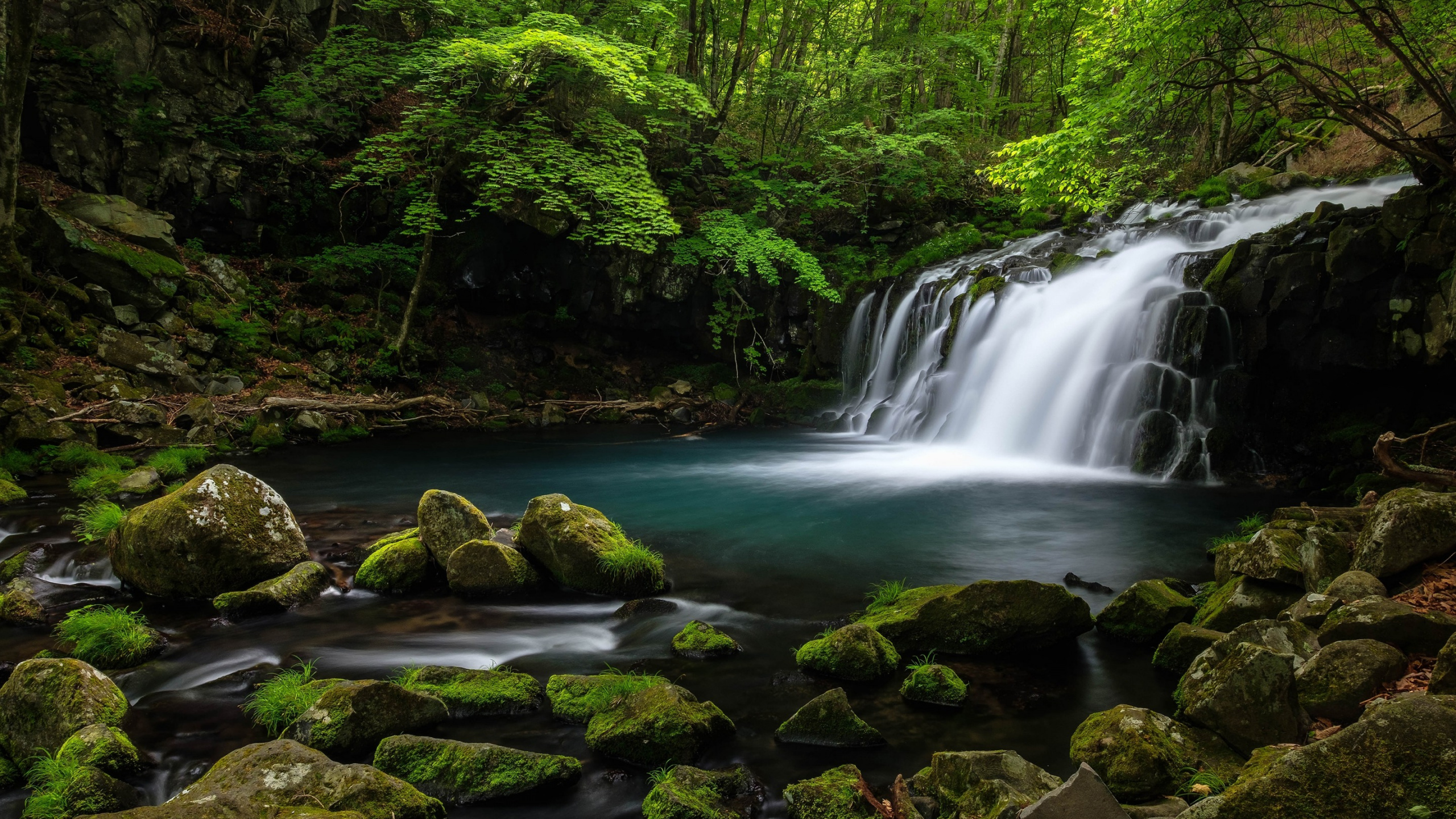 Обои водопад, лес, водоем, гидроресурсы, природа в разрешении 2560x1440