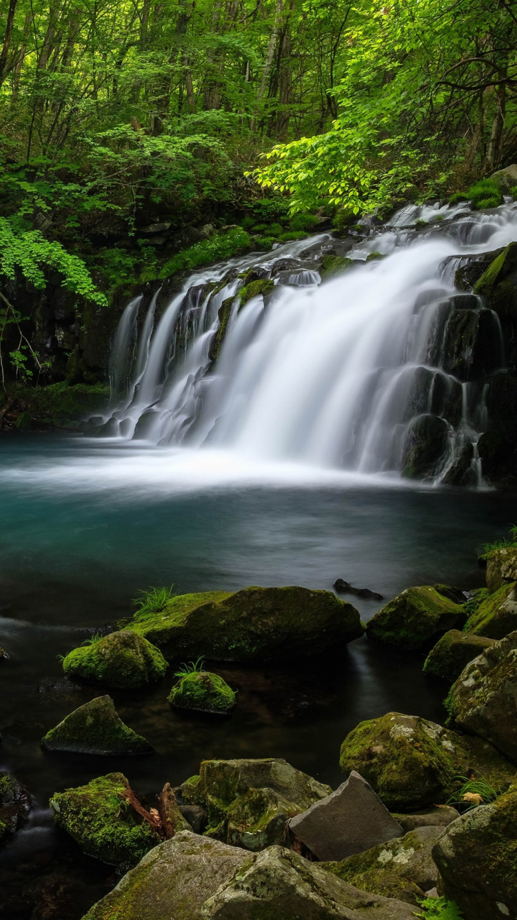 Обои водопад, лес, водоем, гидроресурсы, природа в разрешении 750x1334
