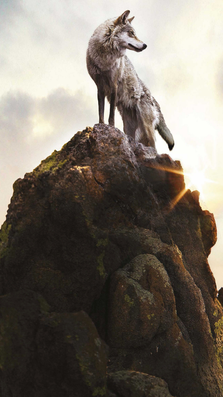 Обои гора, рок, пейзаж, формирование, бесплодные земли в разрешении 750x1334