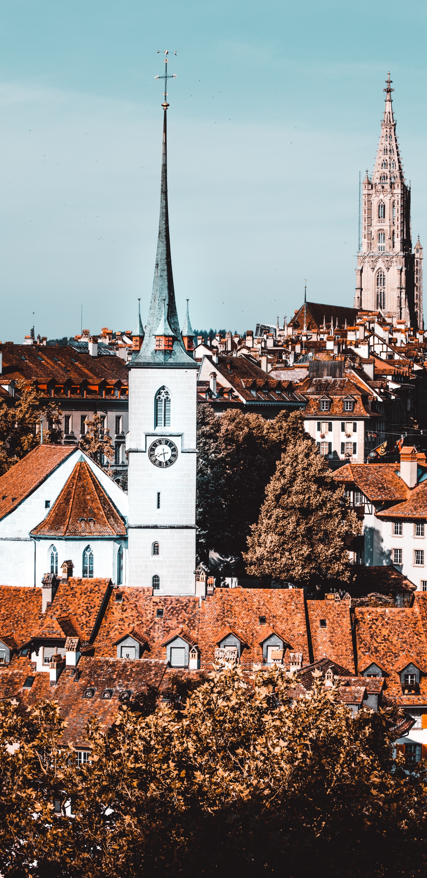 Обои ориентир, здание, шпиль, городской район, соседство в разрешении 1440x2960