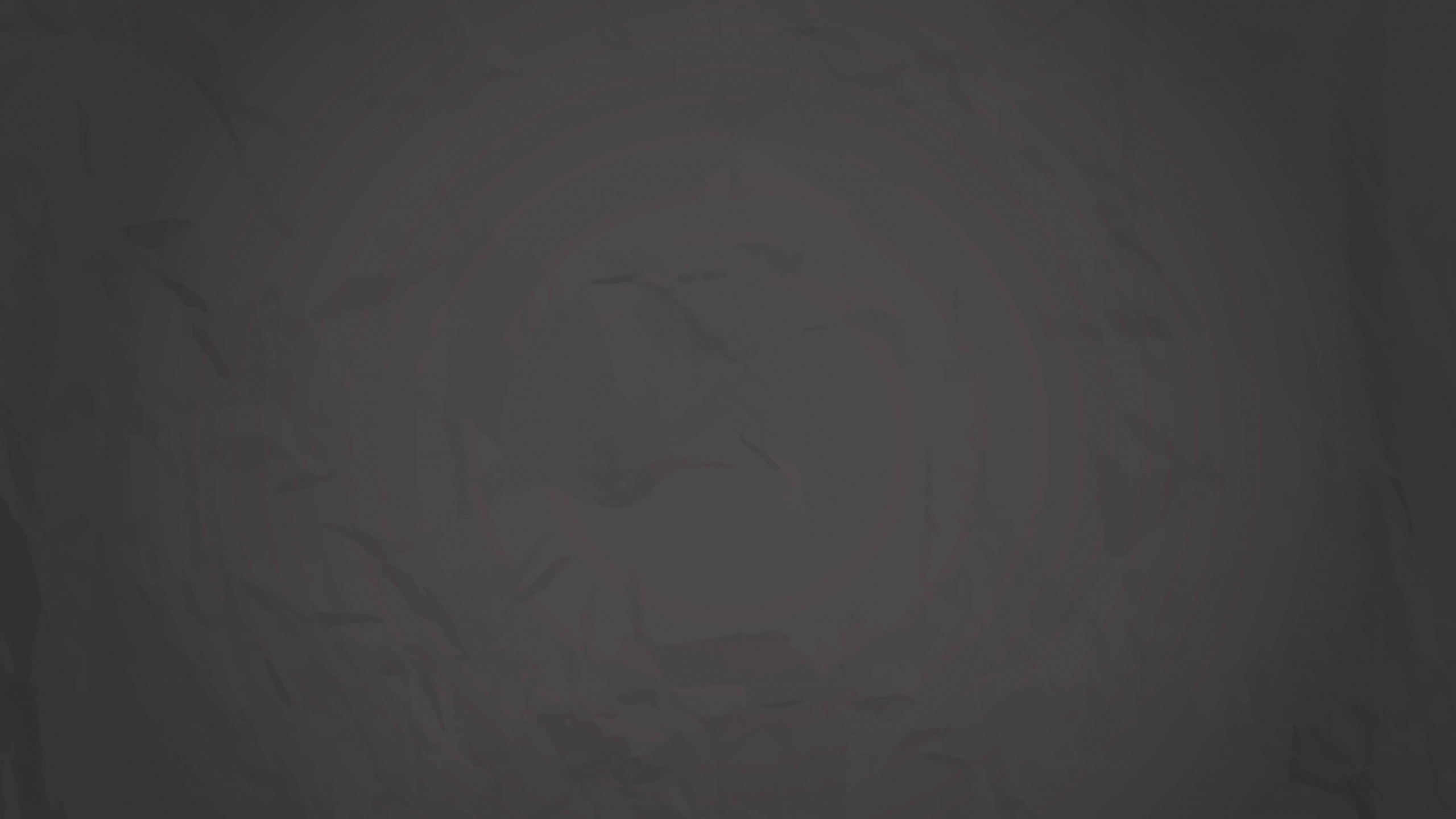 Обои черный, темнота, текстура, черный и белый, древесина в разрешении 2560x1440