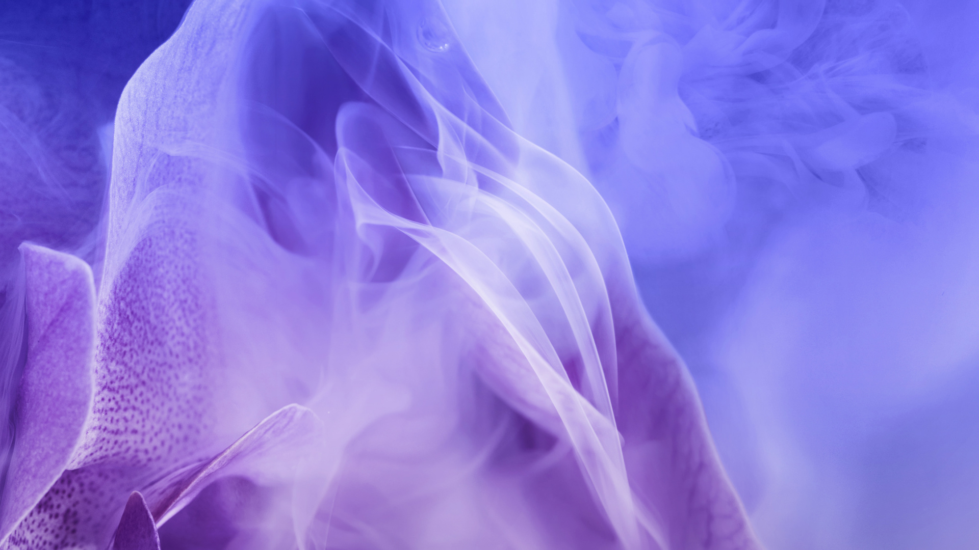 Обои Huawei, Huawei Nova, Huawei Nova 3, новый 3, смартфон в разрешении 1920x1080