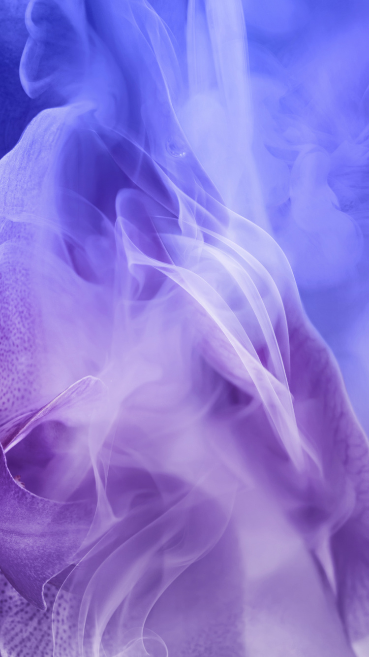 Обои Huawei, Huawei Nova, Huawei Nova 3, новый 3, смартфон в разрешении 750x1334