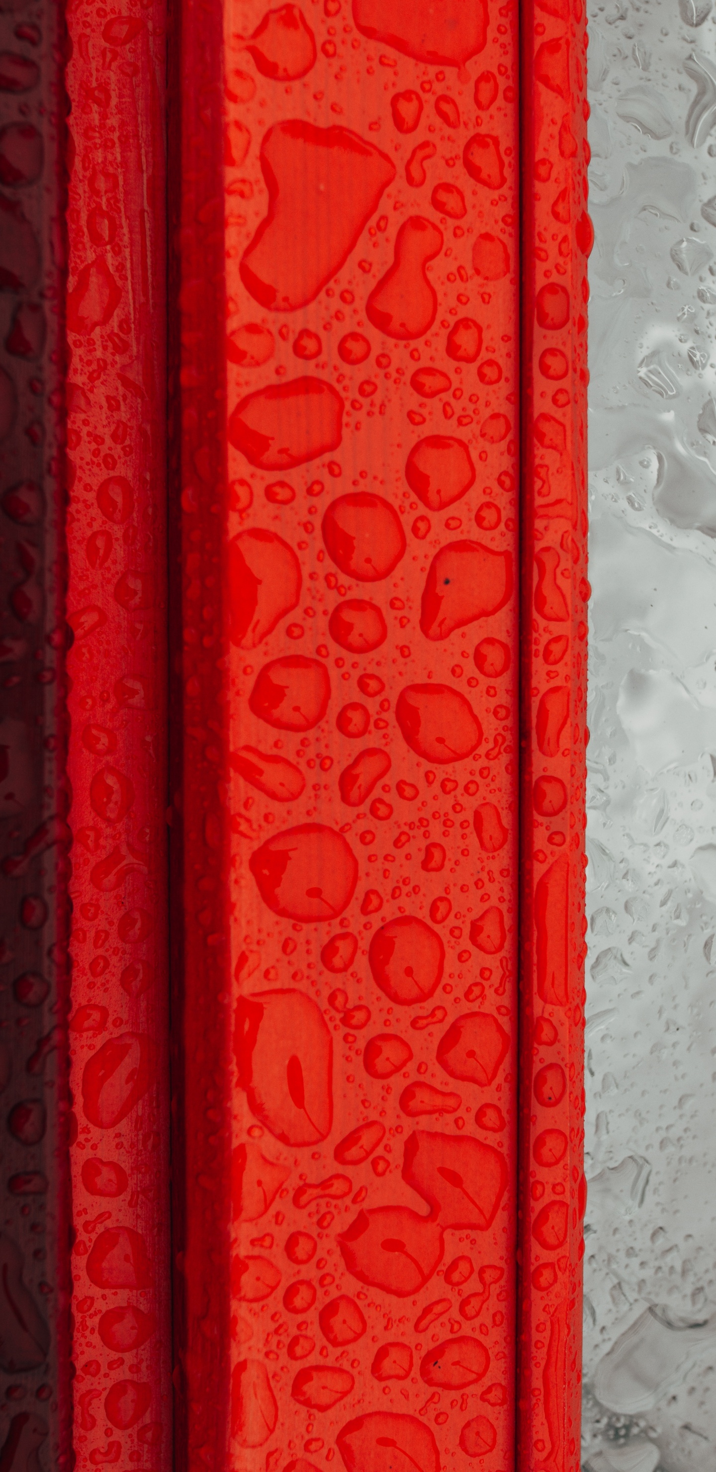 Обои дизайн, красный цвет, Апельсин, узор, ткань в разрешении 1440x2960