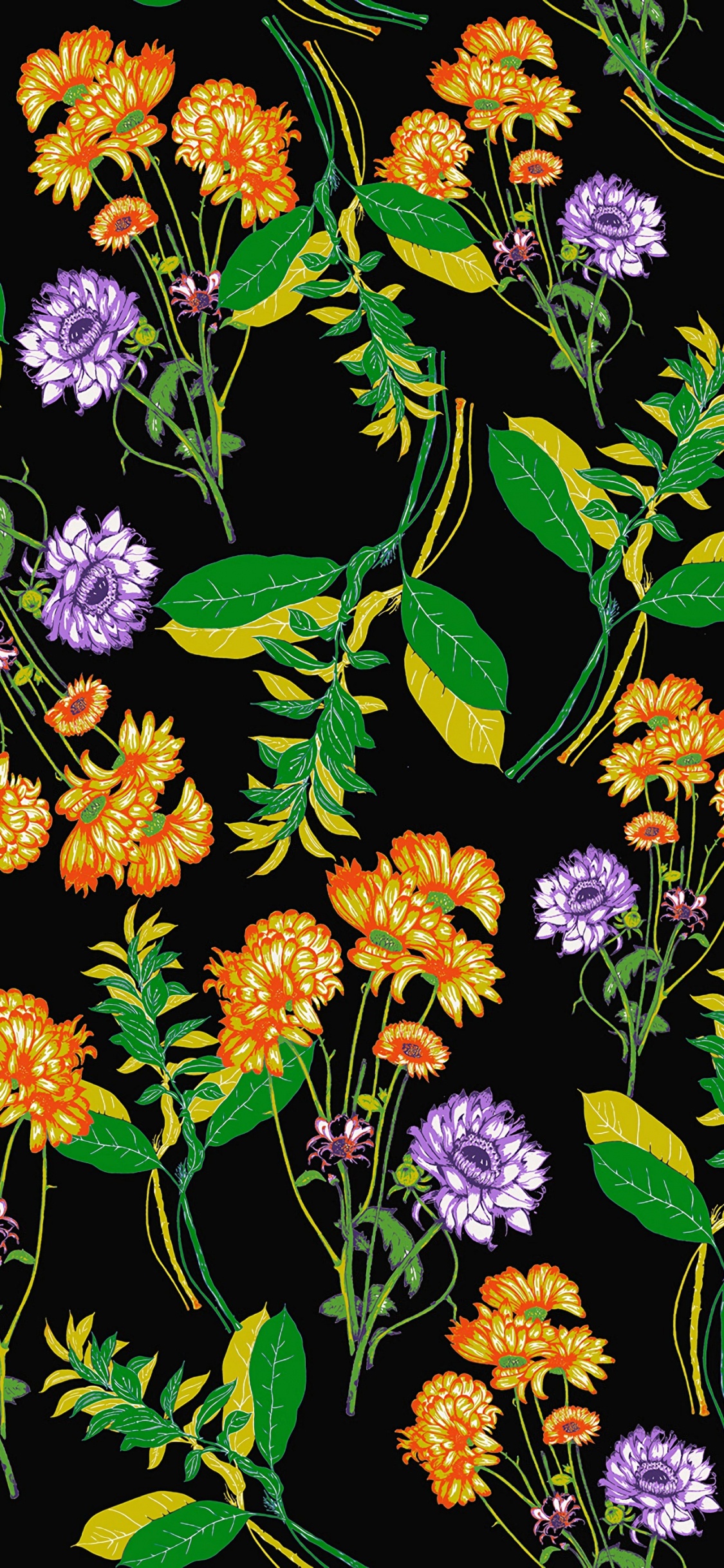 Обои цветок, цветковое растение, растение, полевой цветок, полукустарник в разрешении 1125x2436