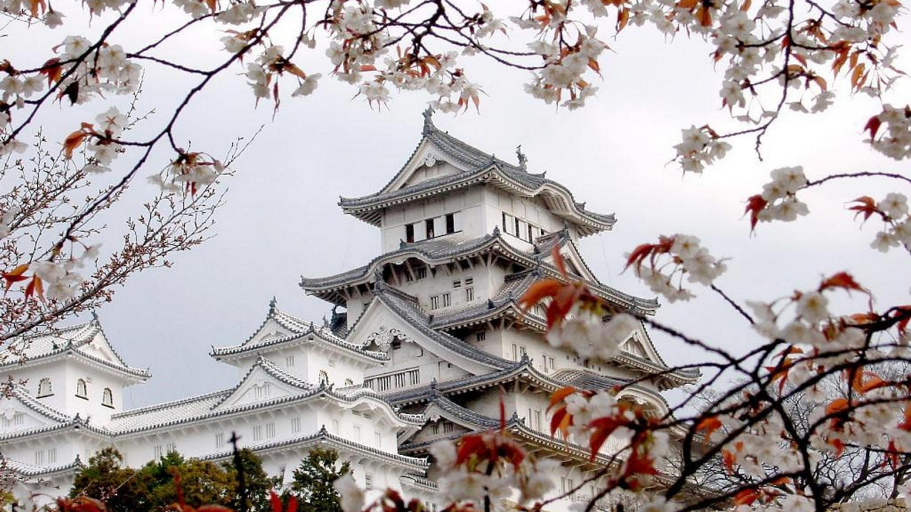 Обои японское искусство, дерево, растение, ветвь, японская архитектура в разрешении 1280x720