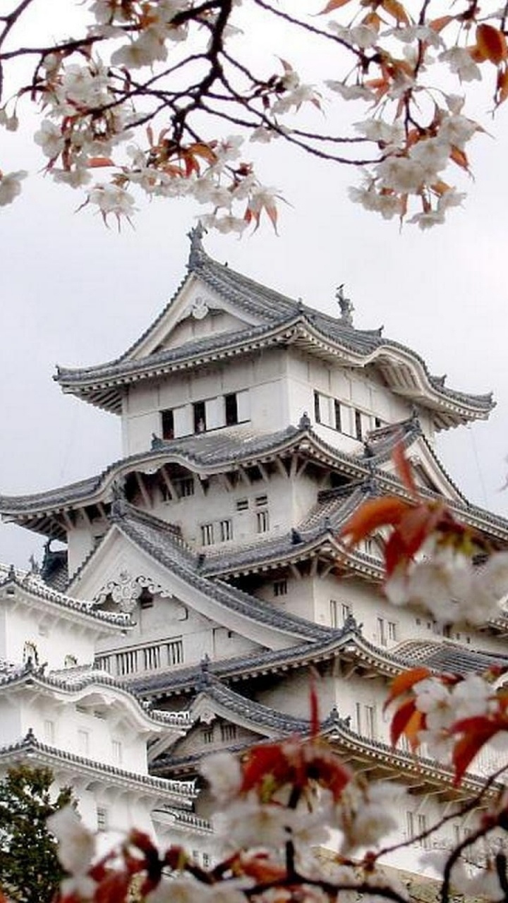 Обои японское искусство, дерево, растение, ветвь, японская архитектура в разрешении 720x1280