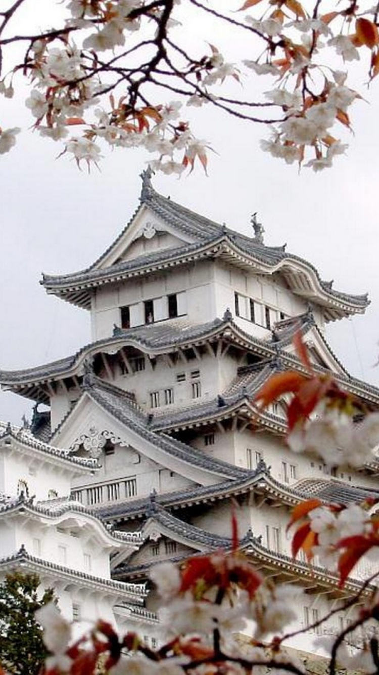 Обои японское искусство, дерево, растение, ветвь, японская архитектура в разрешении 750x1334