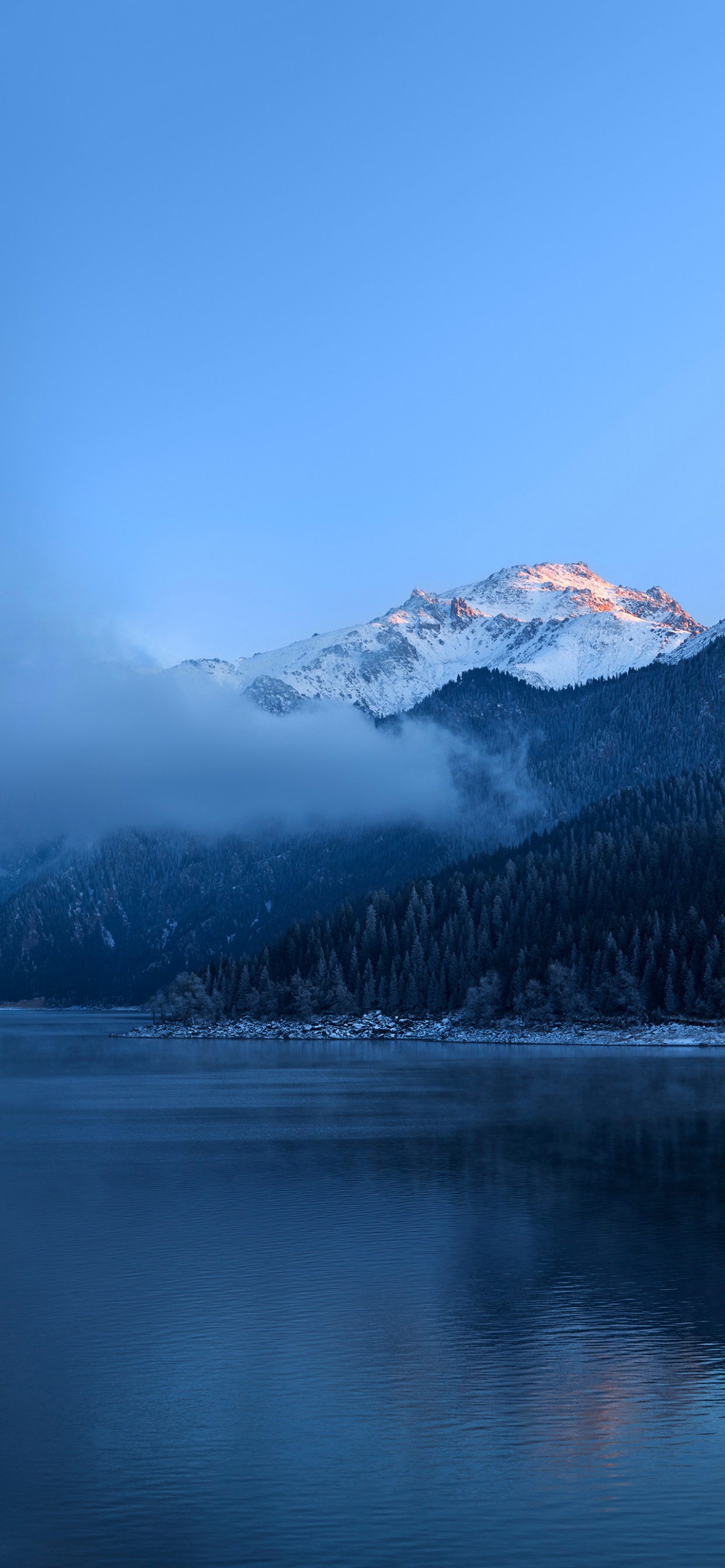 Обои Huawei, Huawei Mate, Huawei Mate 40 Pro, huawei mate 30, huawei mate 40 в разрешении 1242x2688