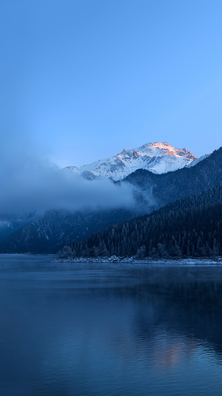 Обои Huawei, Huawei Mate, Huawei Mate 40 Pro, huawei mate 30, huawei mate 40 в разрешении 750x1334