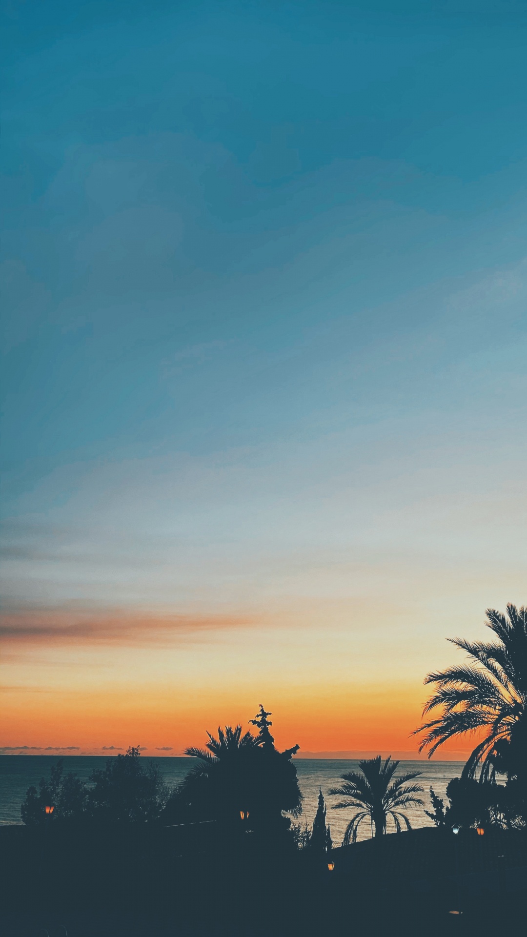 Обои лист, горизонт, Апельсин, сумрак, Янтарь в разрешении 1080x1920