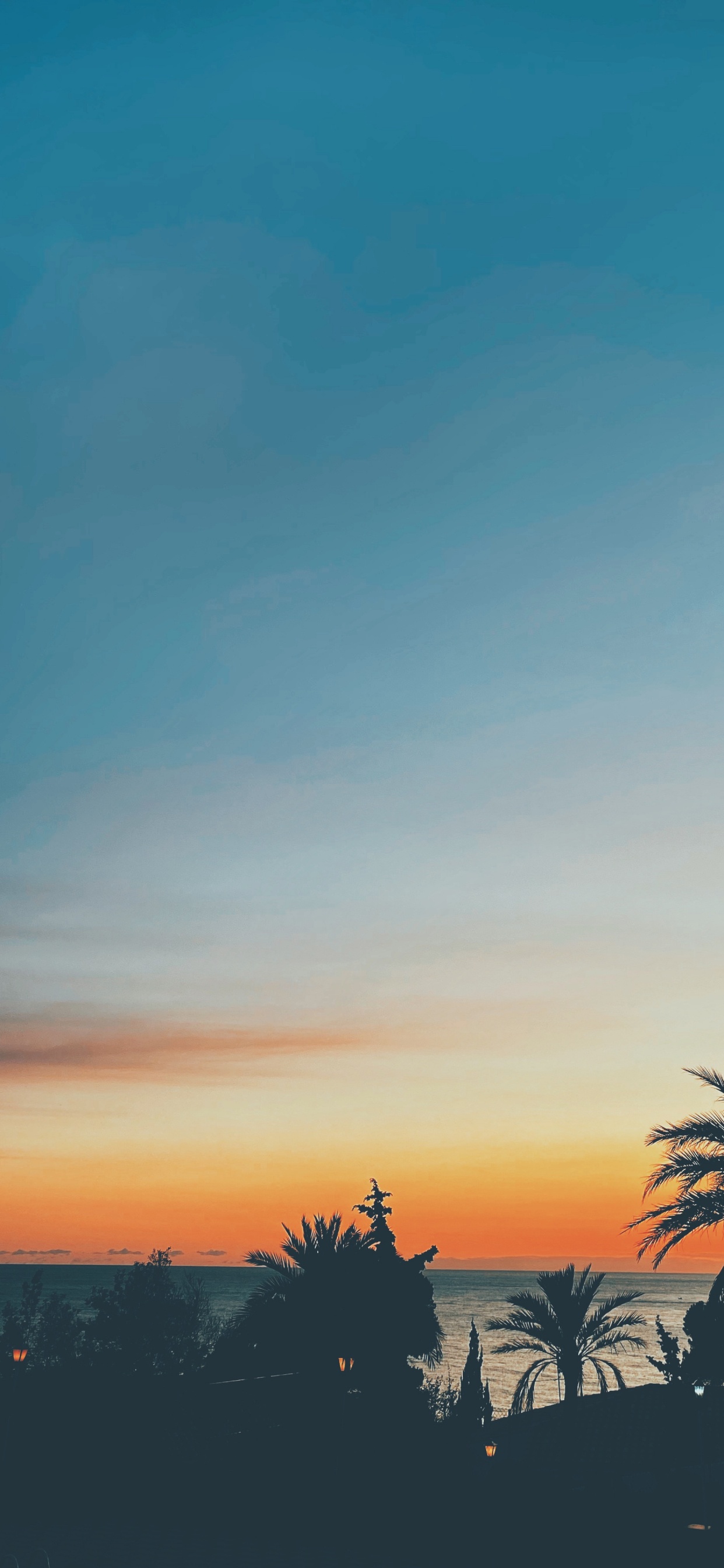 Обои лист, горизонт, Апельсин, сумрак, Янтарь в разрешении 1242x2688