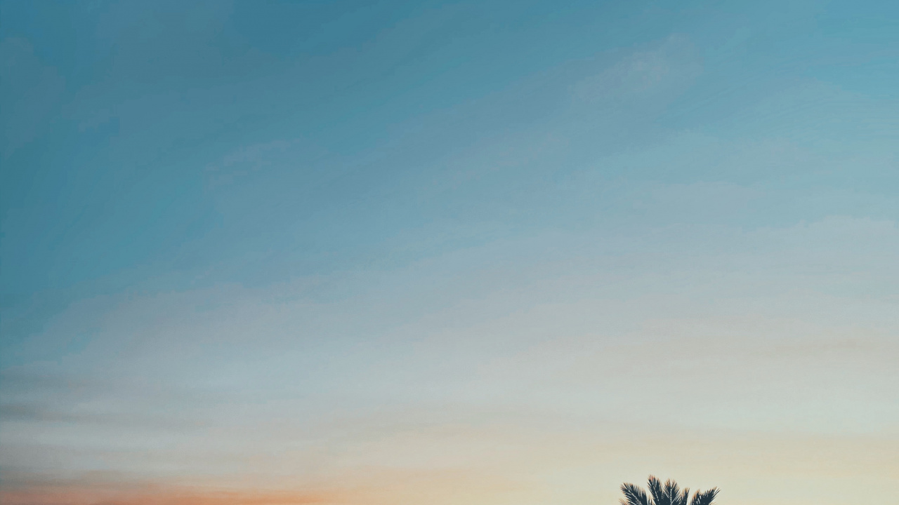 Обои лист, горизонт, Апельсин, сумрак, Янтарь в разрешении 1280x720