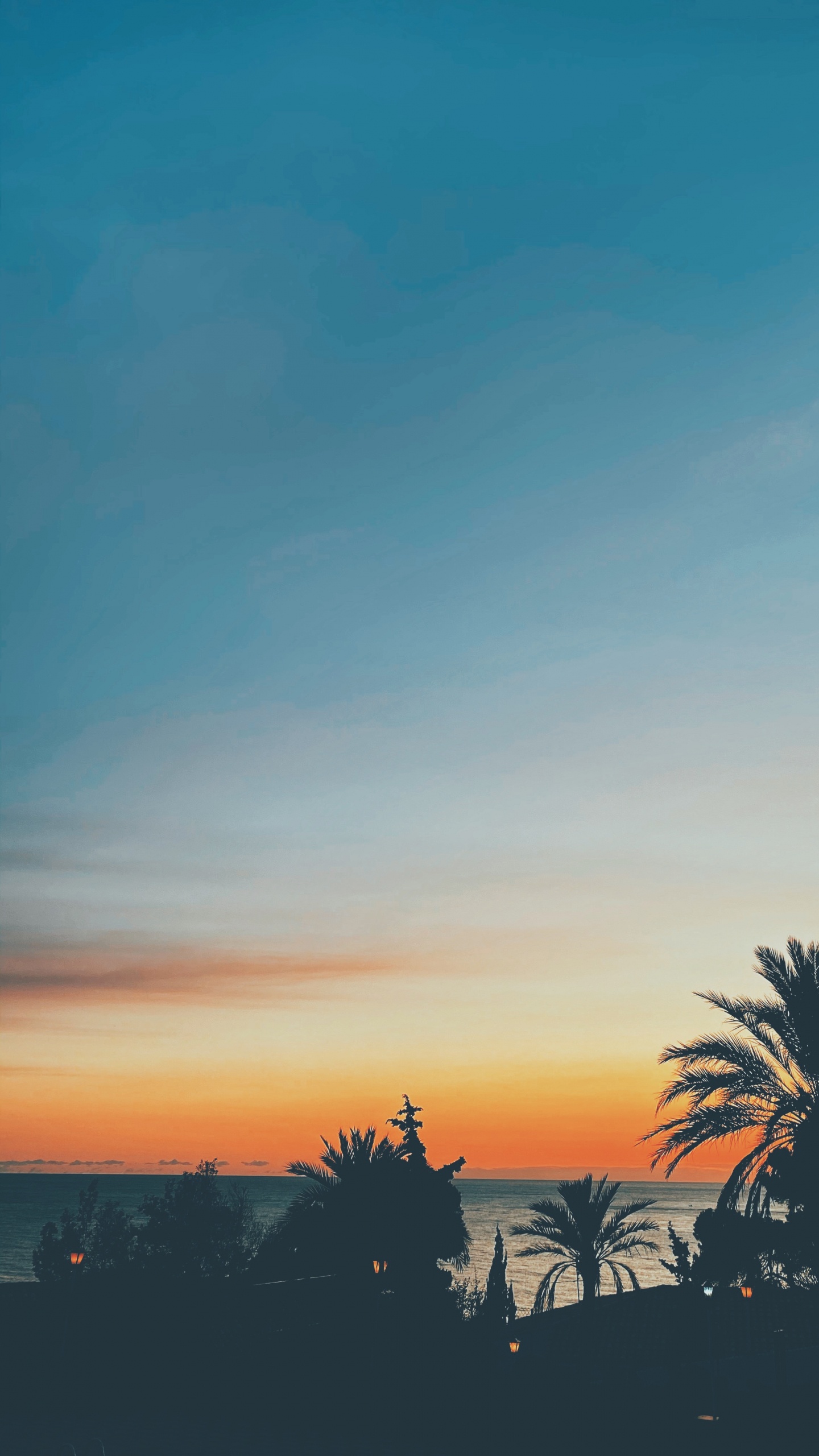 Обои лист, горизонт, Апельсин, сумрак, Янтарь в разрешении 1440x2560