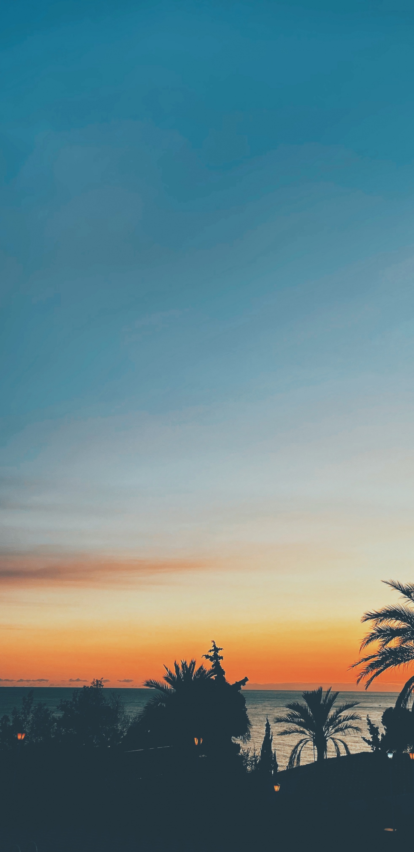 Обои лист, горизонт, Апельсин, сумрак, Янтарь в разрешении 1440x2960