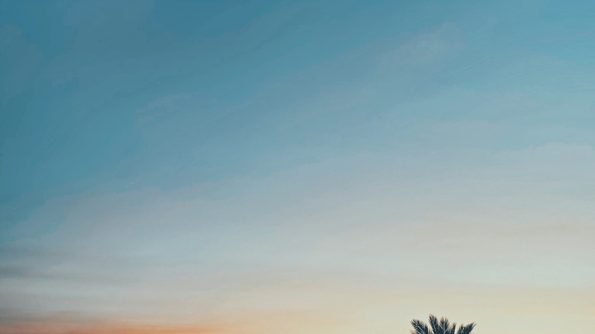 Обои лист, горизонт, Апельсин, сумрак, Янтарь в разрешении 1920x1080