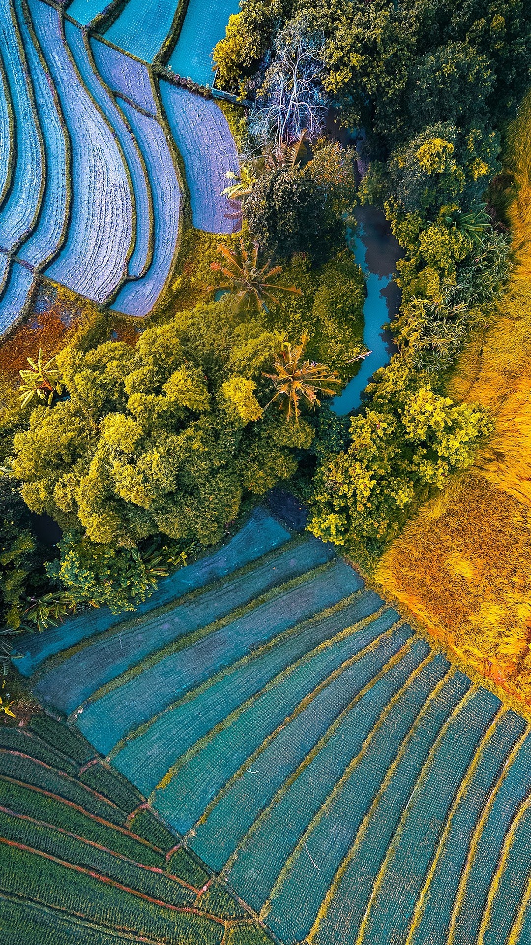 Обои asus, Asus ZenFone, Asus ZenFone 6, rog phone ii, asus zenfone max pro в разрешении 1080x1920