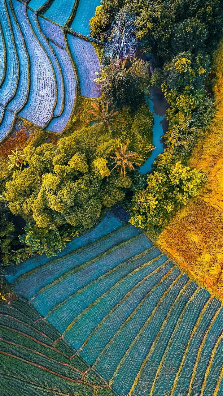 Обои asus, Asus ZenFone, Asus ZenFone 6, rog phone ii, asus zenfone max pro в разрешении 720x1280