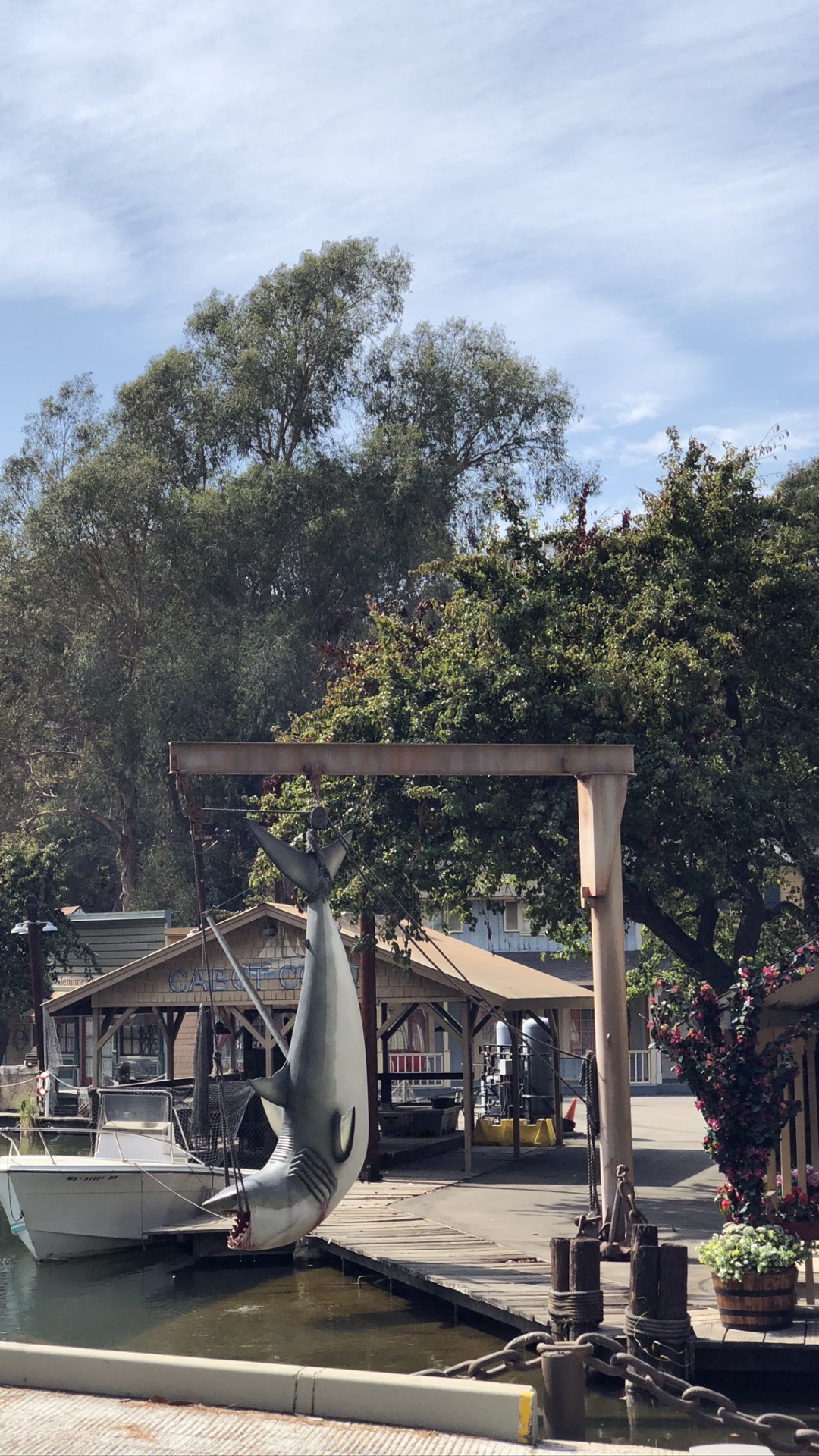 Обои вода, наука, биология, цветочный горшок, дерево в разрешении 1080x1920