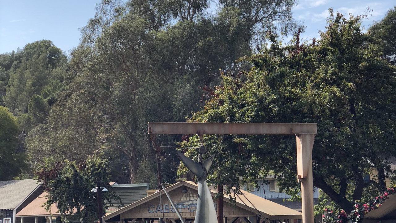 Обои вода, наука, биология, цветочный горшок, дерево в разрешении 1280x720