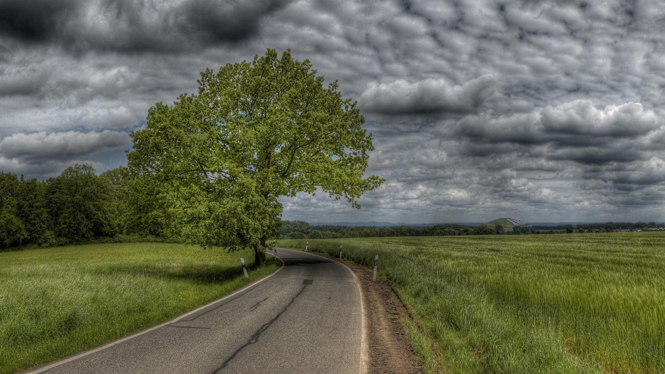 Пасмурно. Пасмурный пейзаж. Дорога в поле. Пасмурное лето. Пейзаж HDR.