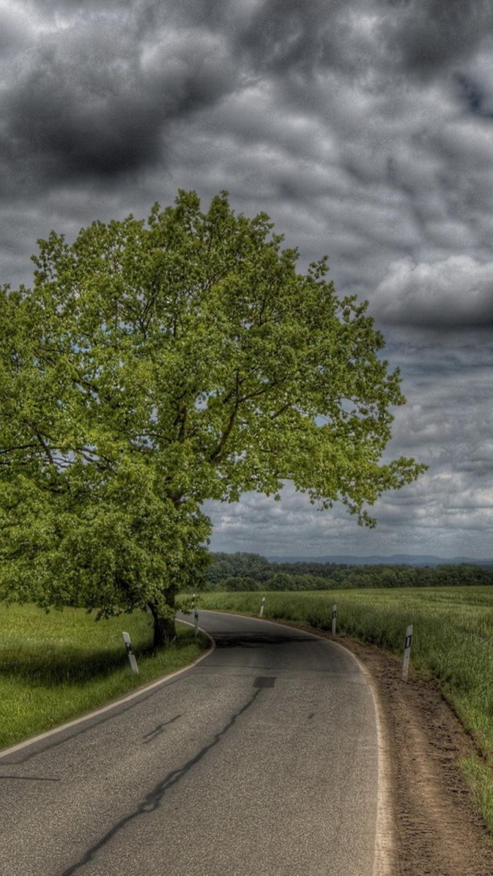 Обои дорога, природа, облако, дерево, поле в разрешении 720x1280