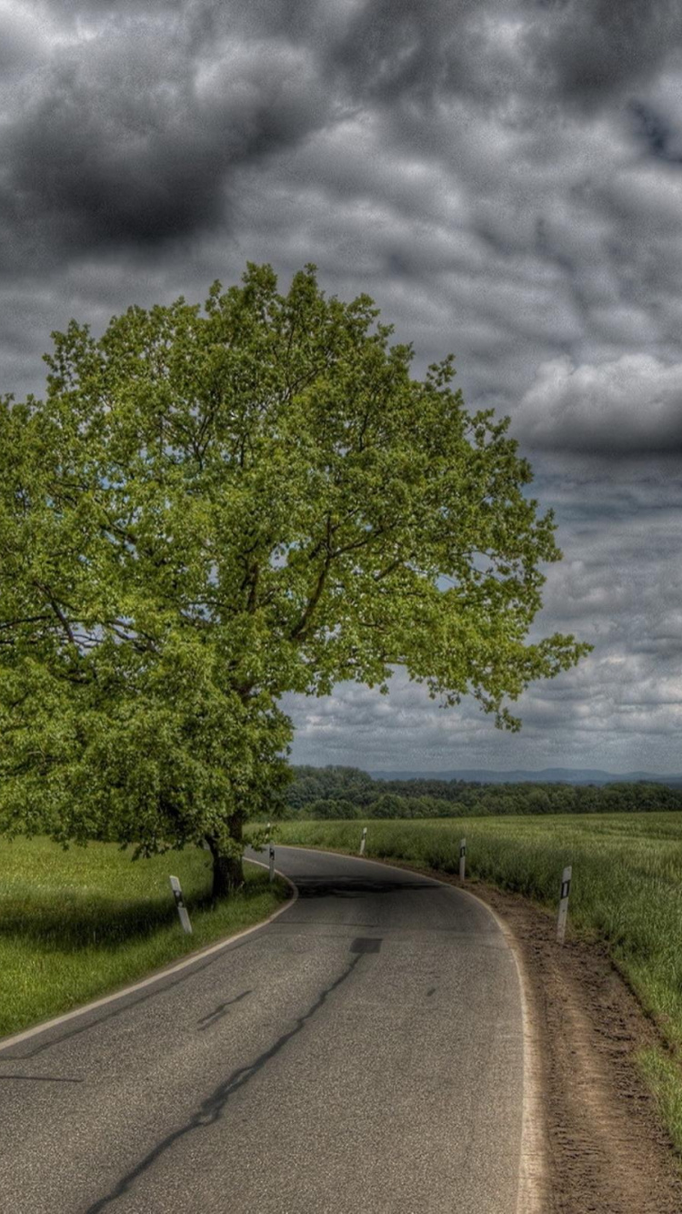 Обои дорога, природа, облако, дерево, поле в разрешении 750x1334