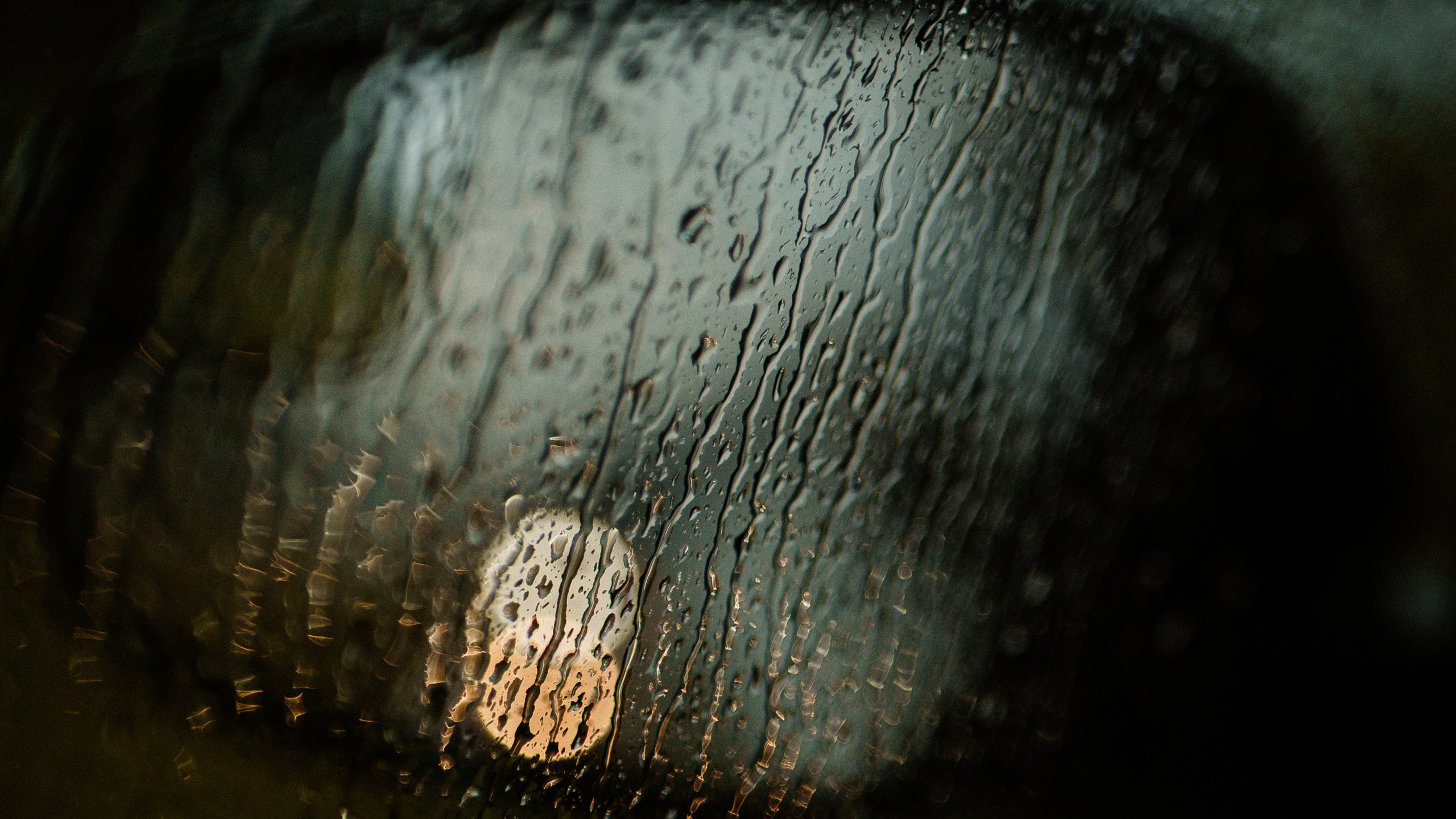 Обои древесина, темнота, крупный план, полутона и оттенки, вода в разрешении 2560x1440