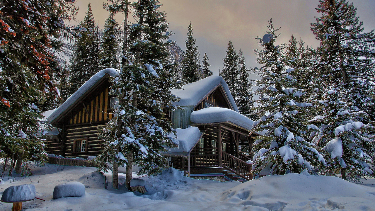 Обои снег, зима, дерево, природа, замораживание в разрешении 1280x720