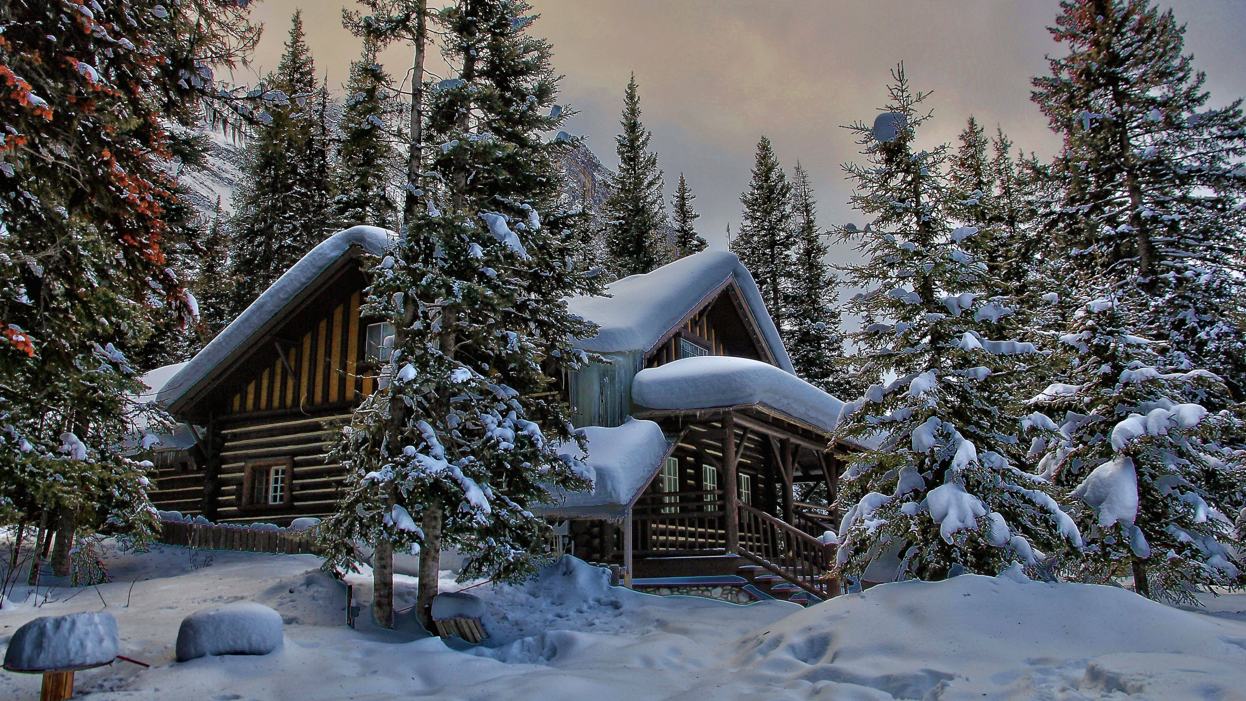 Обои снег, зима, дерево, природа, замораживание в разрешении 2560x1440