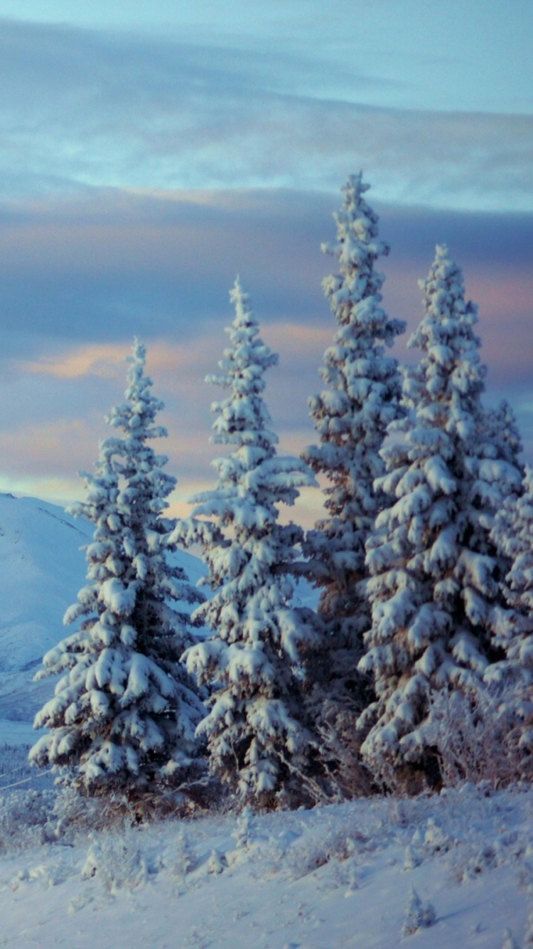 Обои Аляска, снег, гора, зима, природа в разрешении 750x1334