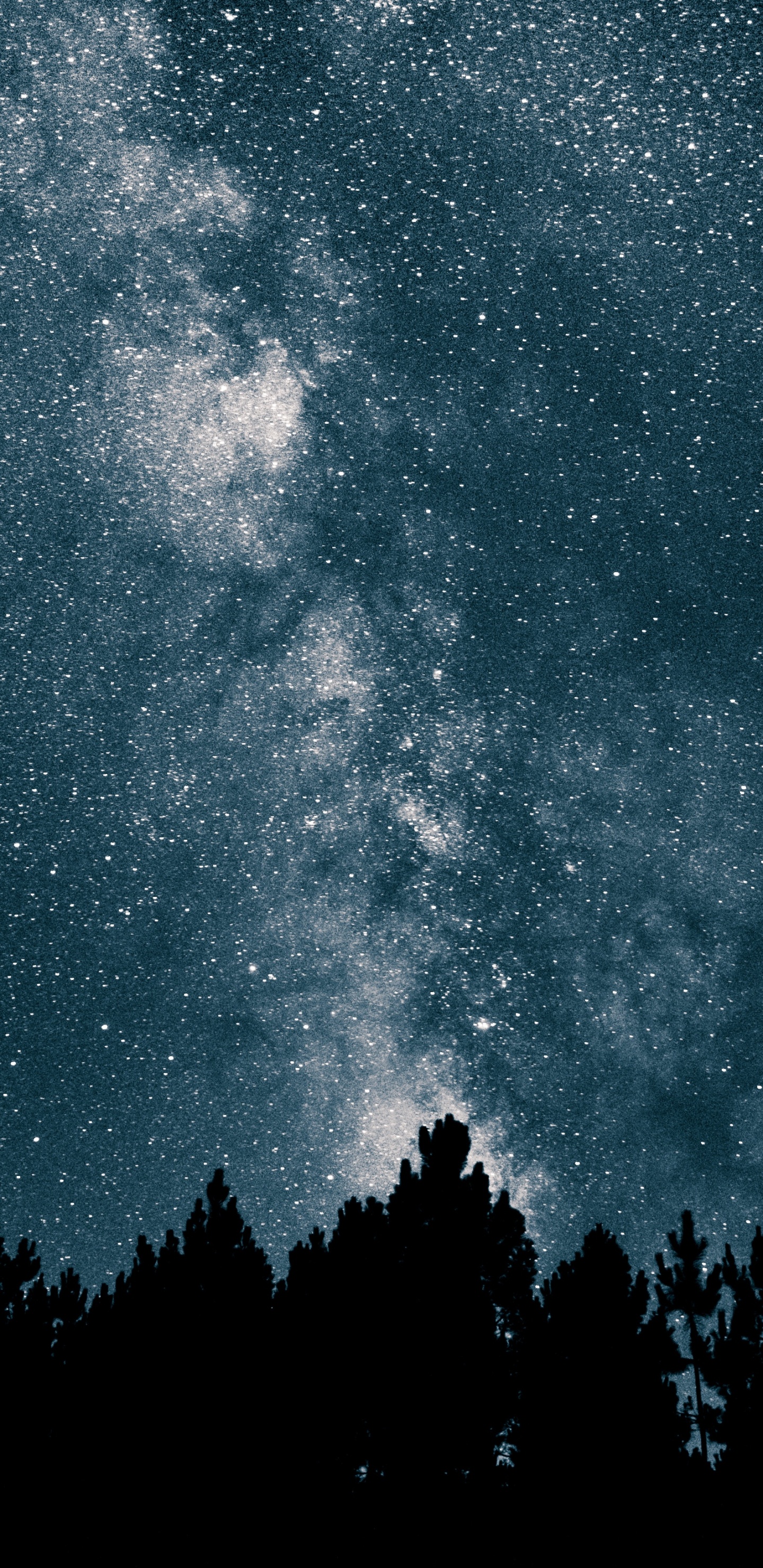 Обои Млечный Путь, звезда, Галактика, ночное небо, Астрономия в разрешении 1440x2960