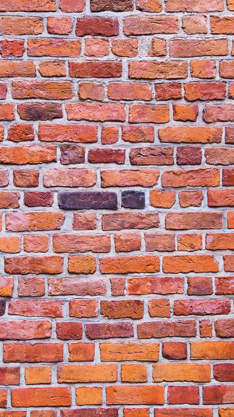 Обои стена, кирпич, кирпичная кладка, каменщик, материал в разрешении 750x1334