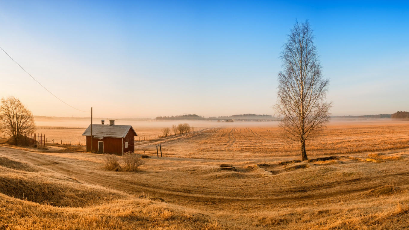Обои прерия, равнина, поле, утро, сельский район в разрешении 1366x768