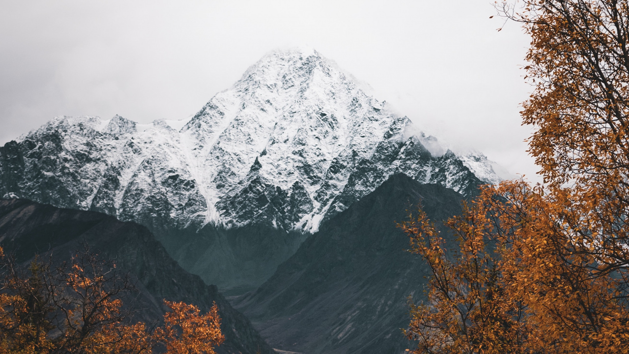 Обои гора, Альпы, горный рельеф, горный хребет, дерево в разрешении 1280x720