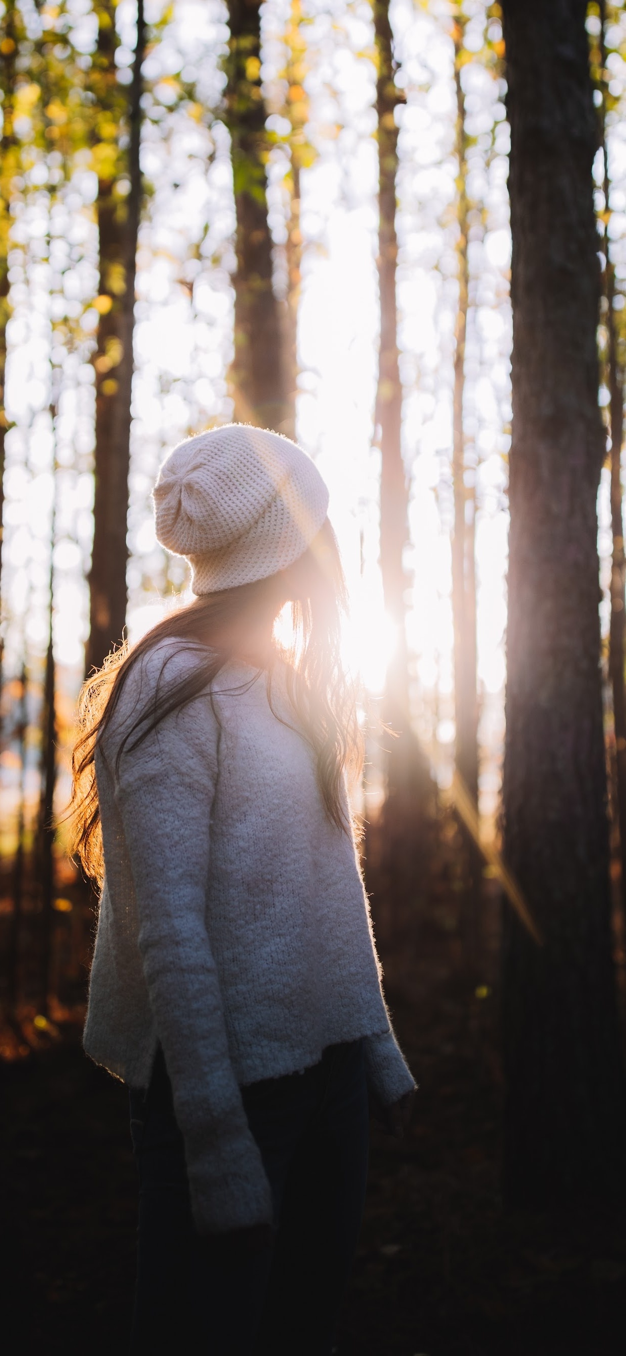 Обои дерево, Люди в природе, природа, лес, окружающая среда в разрешении 1242x2688