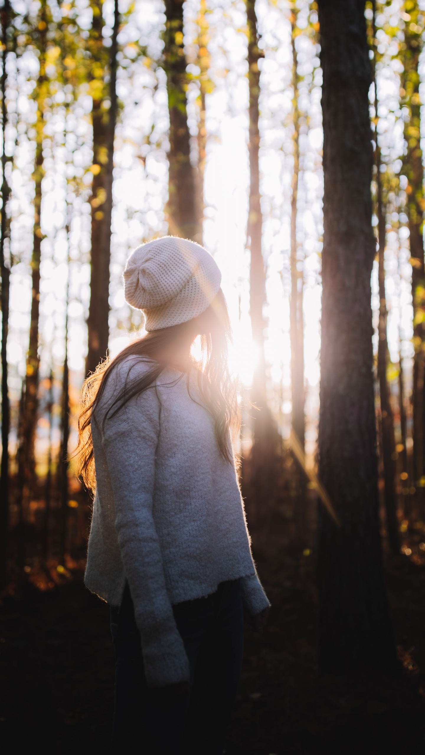 Обои дерево, Люди в природе, природа, лес, окружающая среда в разрешении 1440x2560