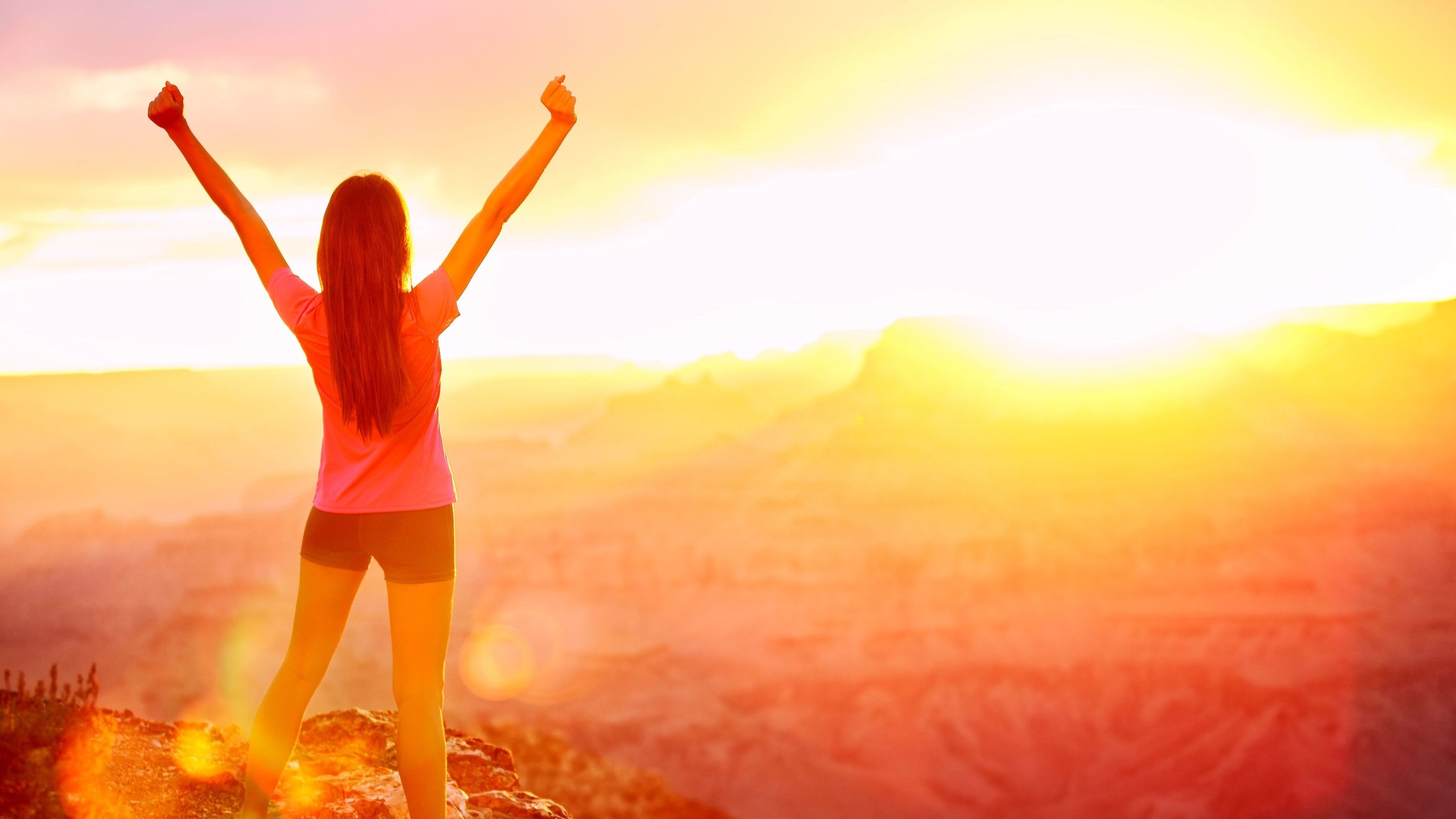 Обои солнечный свет, утро, восход солнца, лето, свет в разрешении 2560x1440