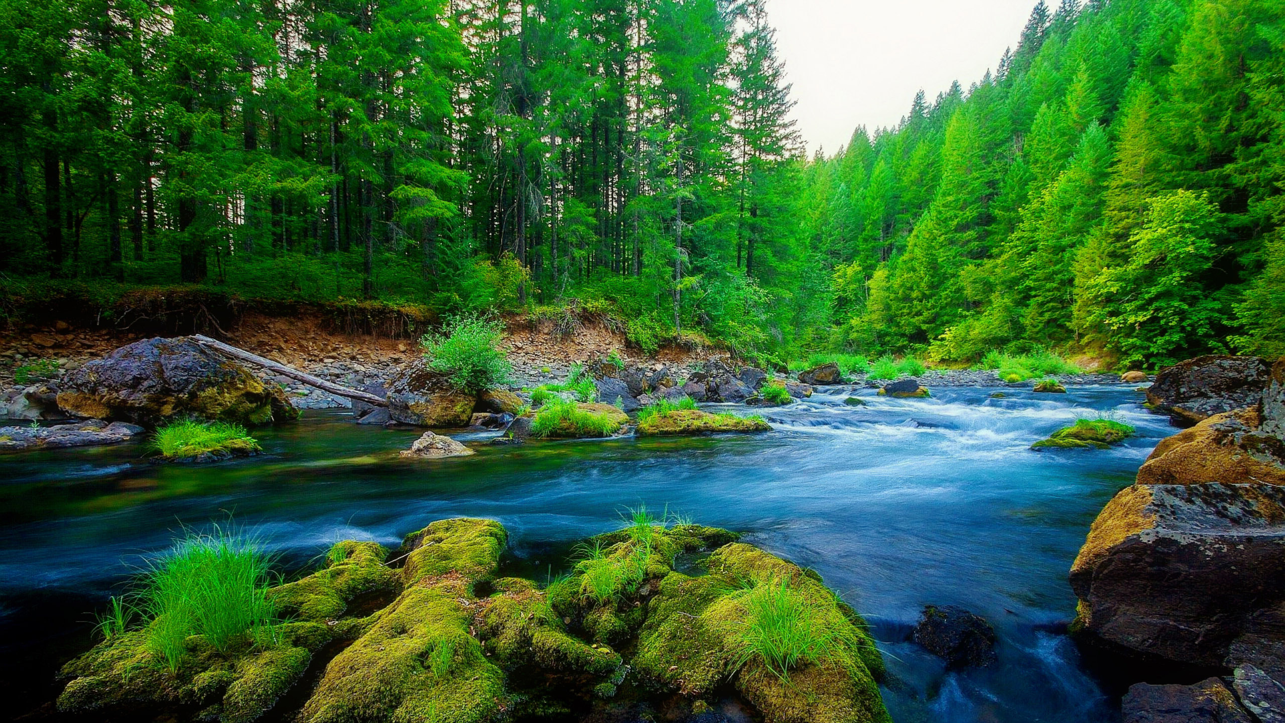 Обои реки, водоем, природа, вода, гидроресурсы в разрешении 2560x1440