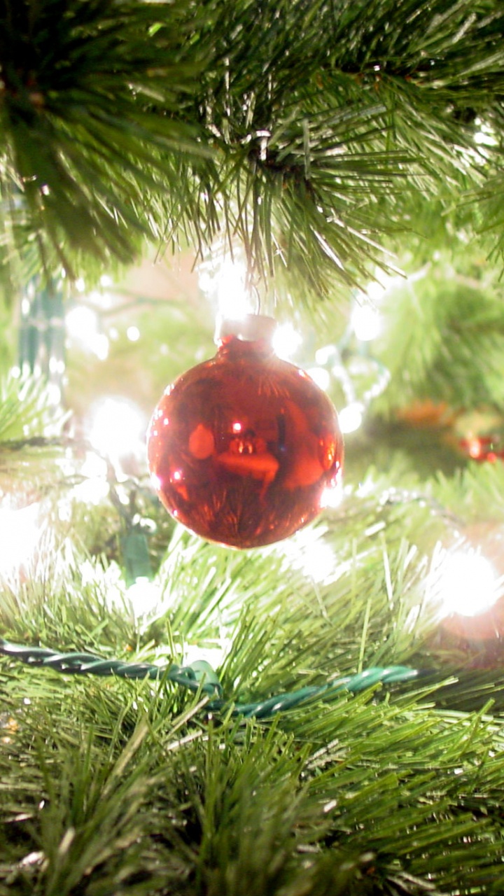 Обои Рождественский день, елка, праздник, Рождество и курортный сезон, рождественский орнамент в разрешении 720x1280