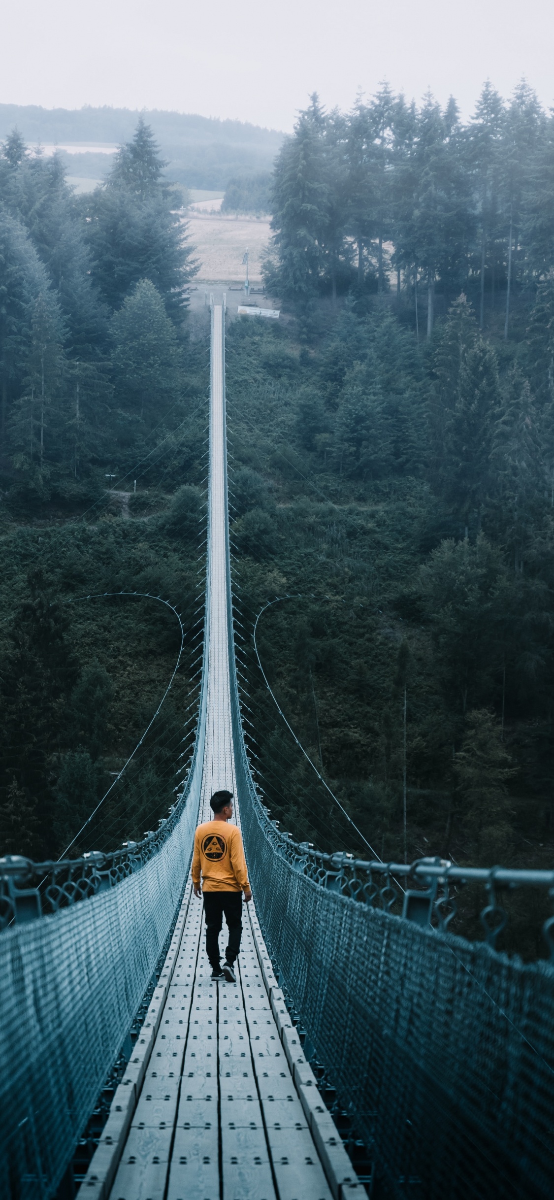 Обои путешествие, приключения, Путешествия и приключения, мост, путеводитель в разрешении 1125x2436