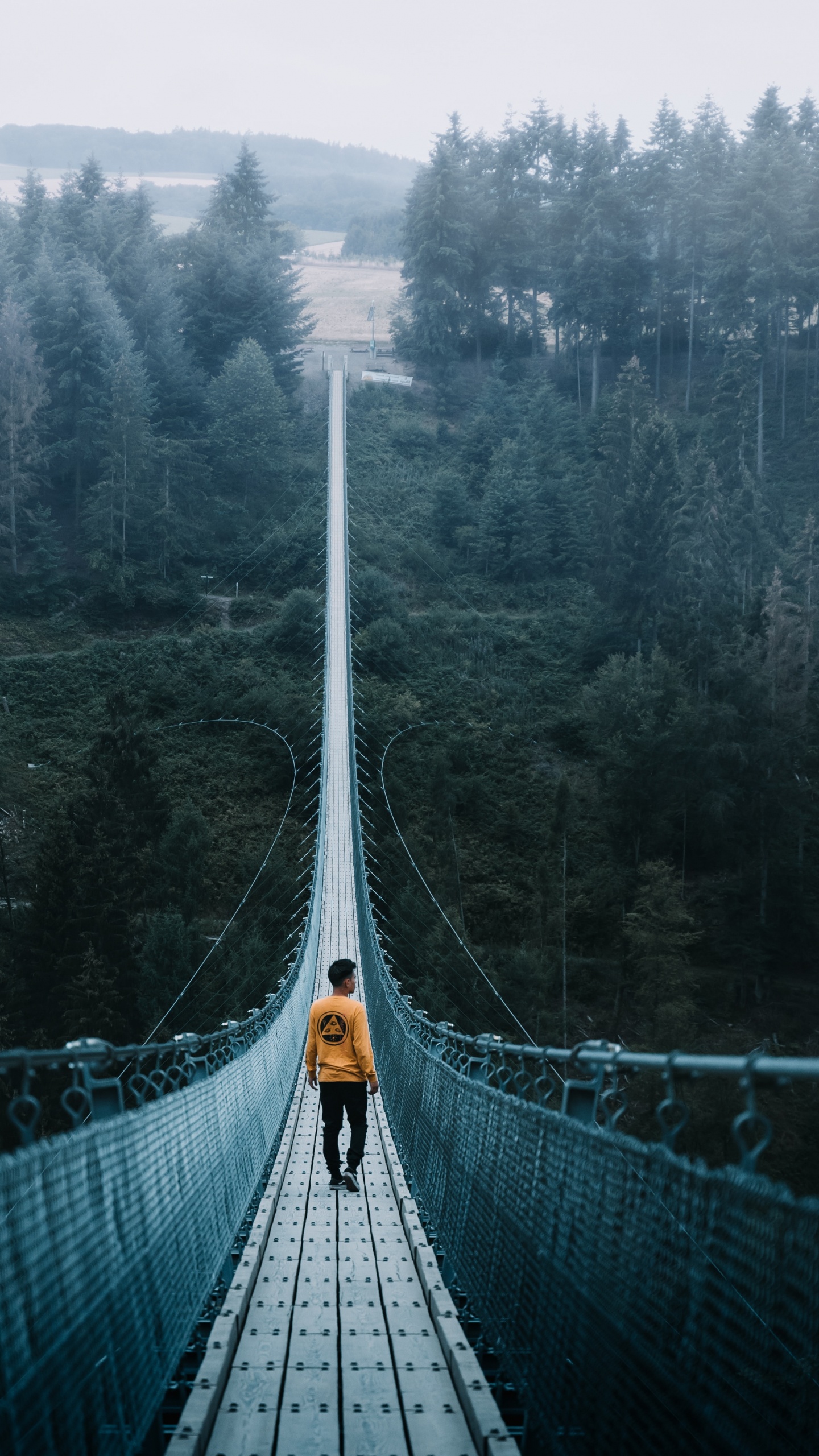 Обои путешествие, приключения, Путешествия и приключения, мост, путеводитель в разрешении 1440x2560