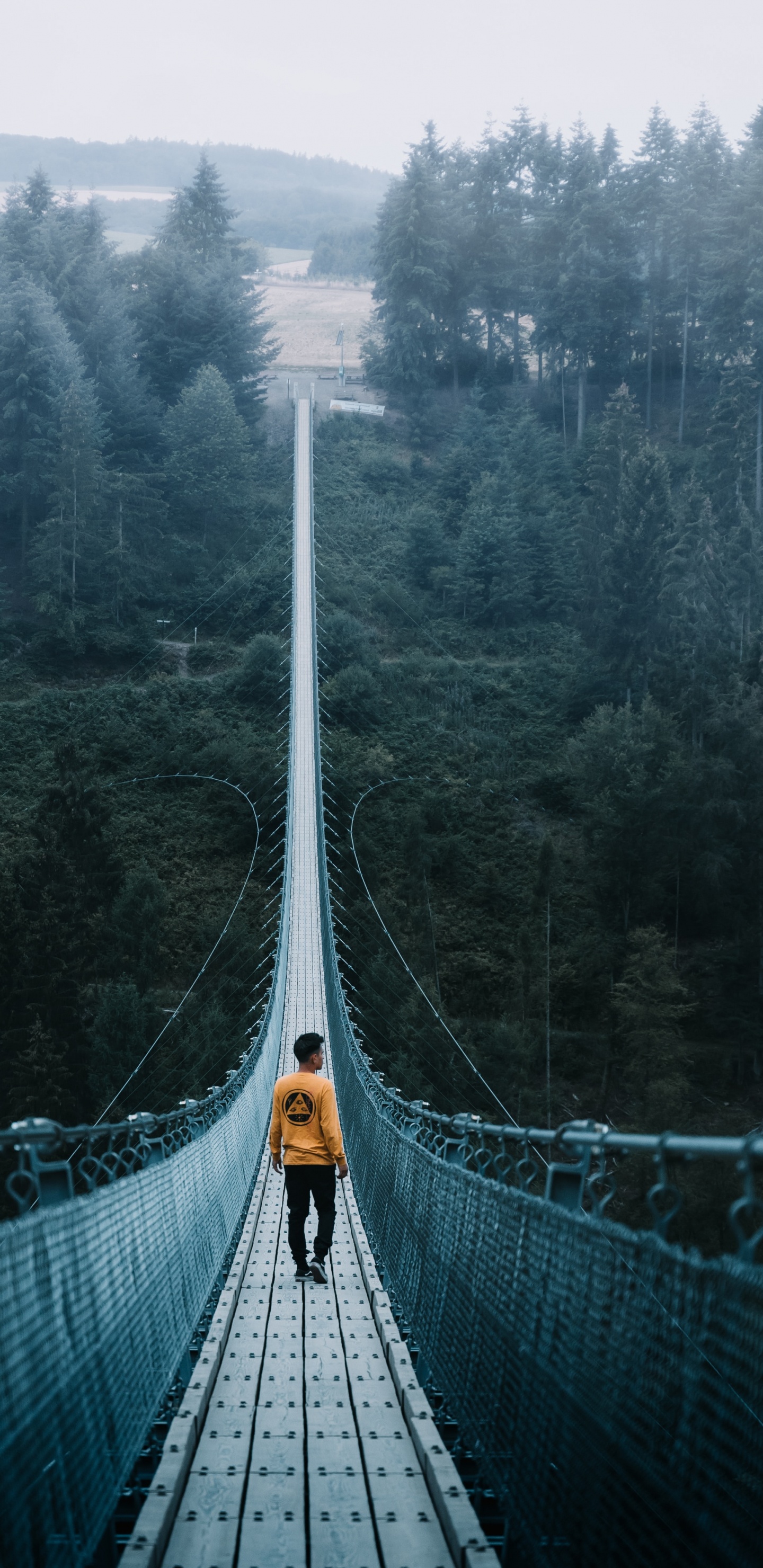 Обои путешествие, приключения, Путешествия и приключения, мост, путеводитель в разрешении 1440x2960