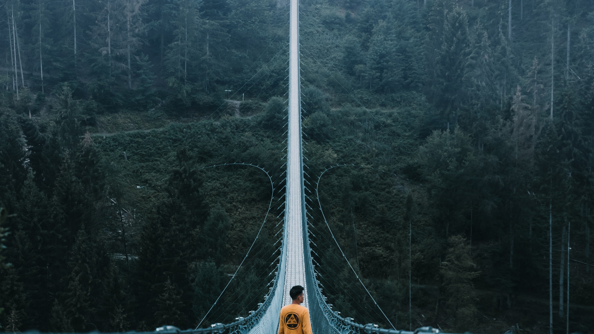 Обои путешествие, приключения, Путешествия и приключения, мост, путеводитель в разрешении 1920x1080