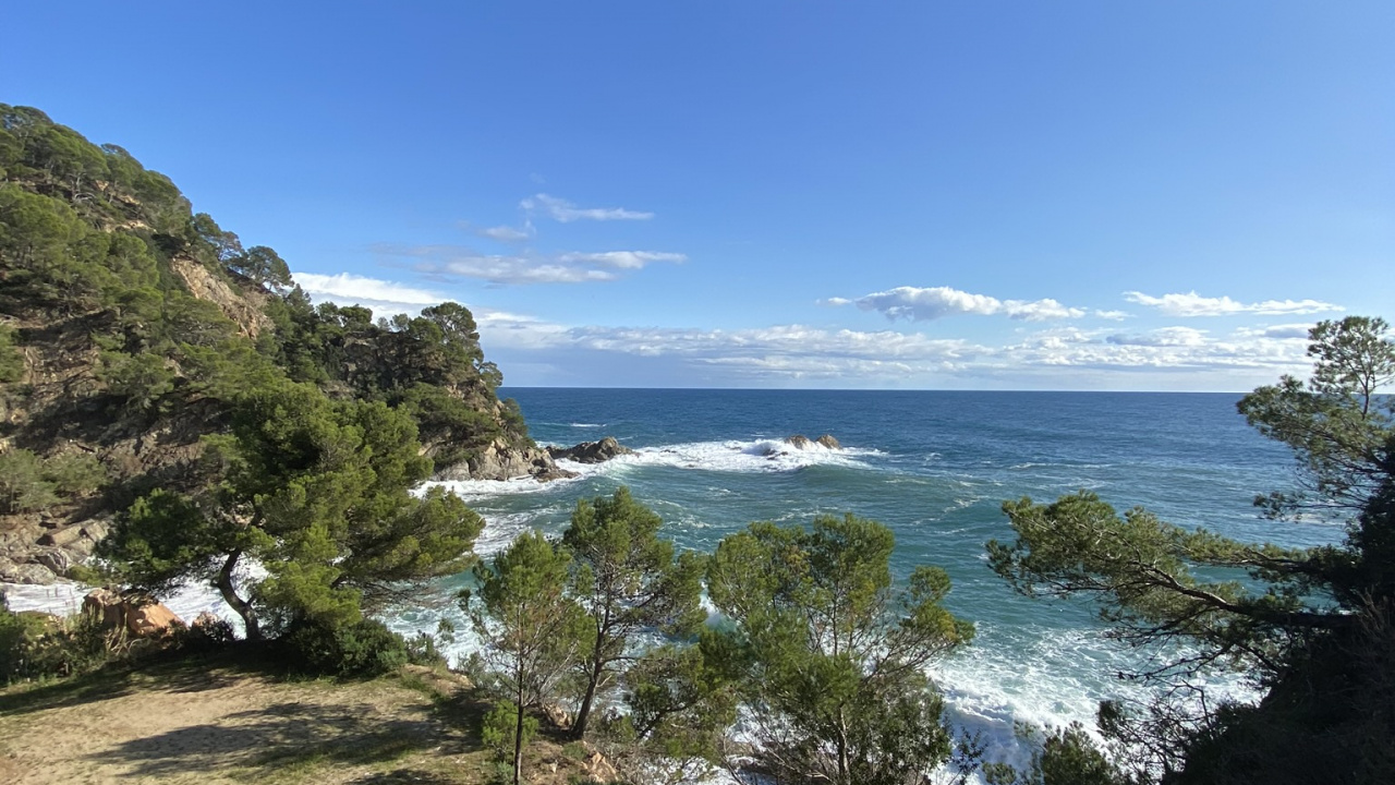 Обои побережье, растительность, местность, тропическая зона, пляж в разрешении 1280x720