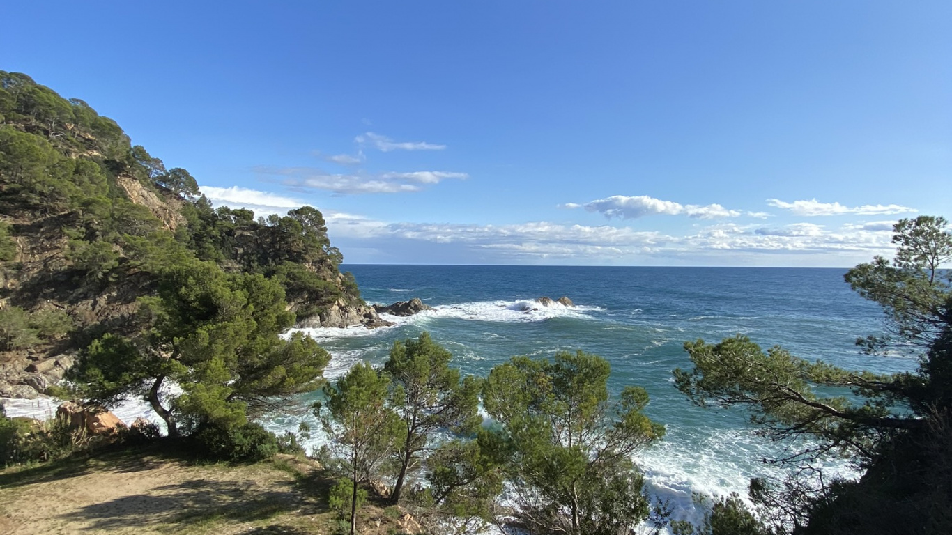 Обои побережье, растительность, местность, тропическая зона, пляж в разрешении 1366x768