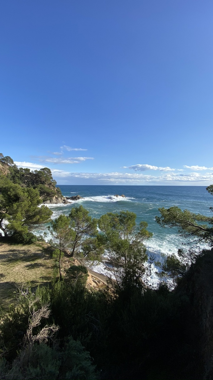 Обои побережье, растительность, местность, тропическая зона, пляж в разрешении 720x1280